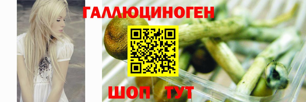 хочу наркоту  Вход с VPN  Россошь  Галлюциногенные грибы GOLDEN TEACHER 